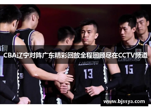 CBA辽宁对阵广东精彩回放全程回顾尽在CCTV频道